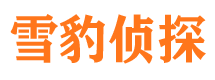 青原市婚外情调查